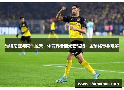 维特尼亚与阿什拉夫：体育界各自光芒耀眼，金球奖悬念难解