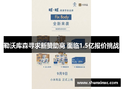 勒沃库森寻求新赞助商 面临1.5亿报价挑战